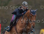 Chimirri V Ginger TosTour 2013- S4 7034 : Arezzo Equestrian Centre, Chimirri Vincenzo, Ginger, Toscana Tour 2013, foto di Stefano Secchi ©
